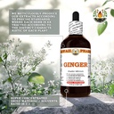 ginger-zingiber-officinale-dry-root-tinc-5.jpg