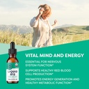 vimergy-liquid-b12-30-ml-and-liquid-b12--2.jpg