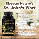 st-johns-wort-900mg-mood-support-supplem-3.jpg
