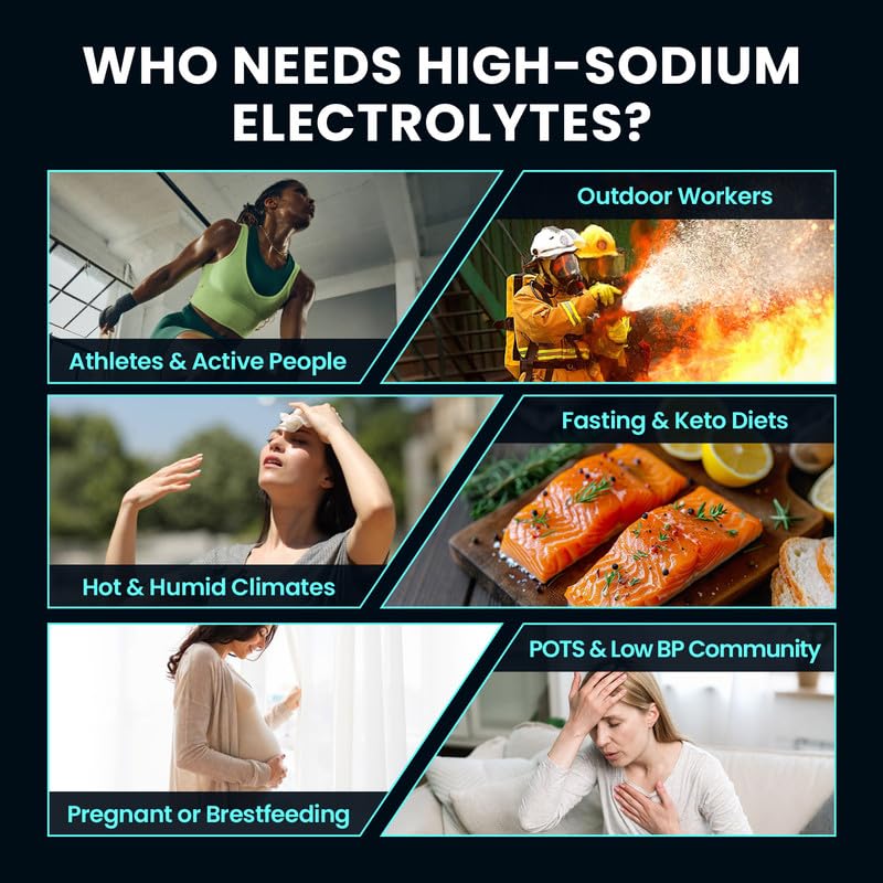 venture-pal-high-sodium-sugar-free-elect-4.jpg