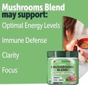 yuve-6-organic-mushroom-extract-powder---2.jpg
