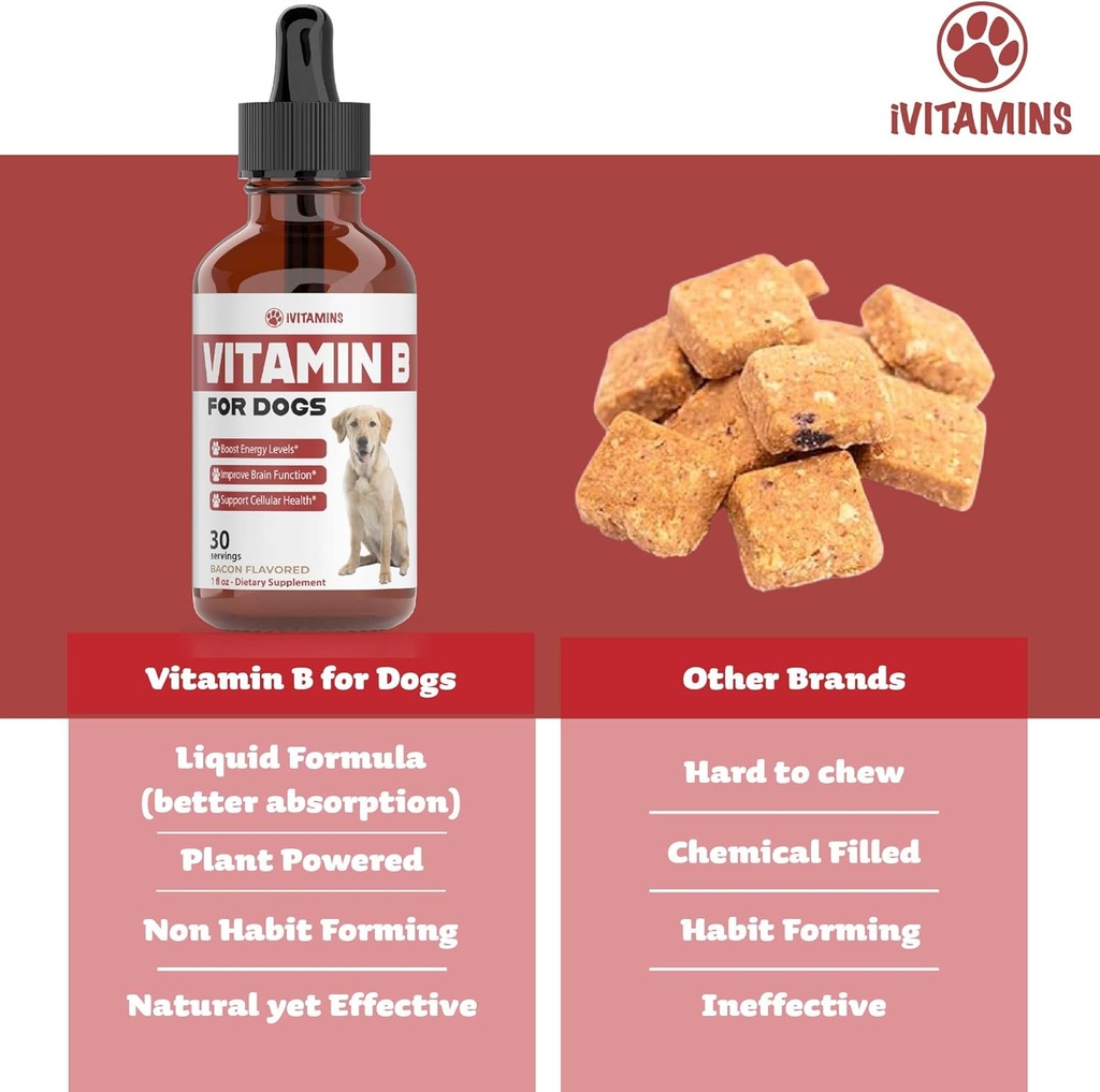 vitamin-b-for-dogs-vitamin-b-complex-for-4.jpg