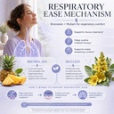liposomal-quercetin-1000mg-with-bromelai-6.jpg