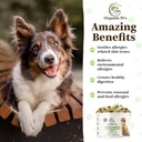 herbal-dog-allergy-relief-with-sea-kelp--2.jpg
