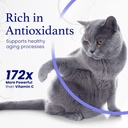 c60-evo-cat-lover-set-2-bottles-of-pure--4.jpg