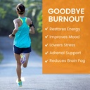 himalaya-hello-energy-herbal-supplement--3.jpg
