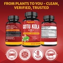 organic-gotu-kola-extract-capsules-with--6.jpg