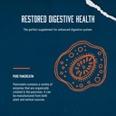digestive-enzyme-supplements-for-gut-hea-5.jpg
