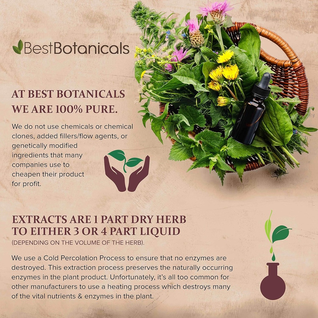 best-botanicals-blessed-thistle-herb-cut-3.jpg