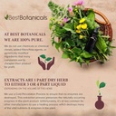best-botanicals-blessed-thistle-herb-cut-3.jpg