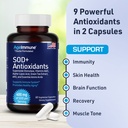 sod-antioxidants-complex-healthy-aging-s-4.jpg