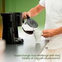 z-natural-foods-organic-reishi-mushroom--4.jpg