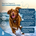 hepatic-liver-support-for-dogs-dissolvab-4.jpg