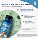 hepatic-liver-support-for-dogs-dissolvab-6.jpg