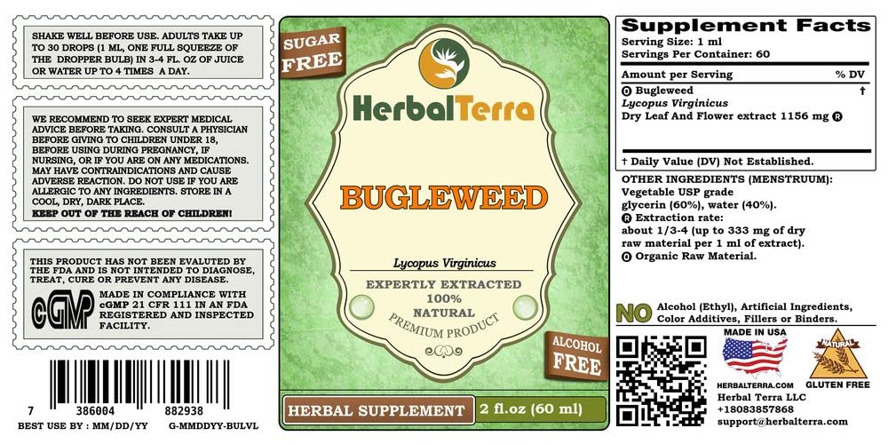 bugleweed-lycopus-virginicus-glycerite-o-2.jpg