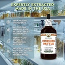 stinging-nettle-urtica-dioica-dry-leaf-g-4.jpg