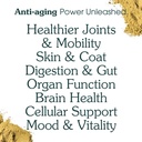 adult-dog-powder-supplement-food-topper--4.jpg
