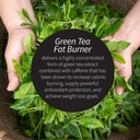 applied-nutrition-green-tea-fat-burner-m-3.jpg