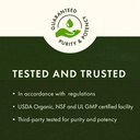 swanson-astragalus-root-immune-support-4-4.jpg