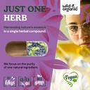 wild-organic-grape-seed-capsules-400-mg--5.jpg