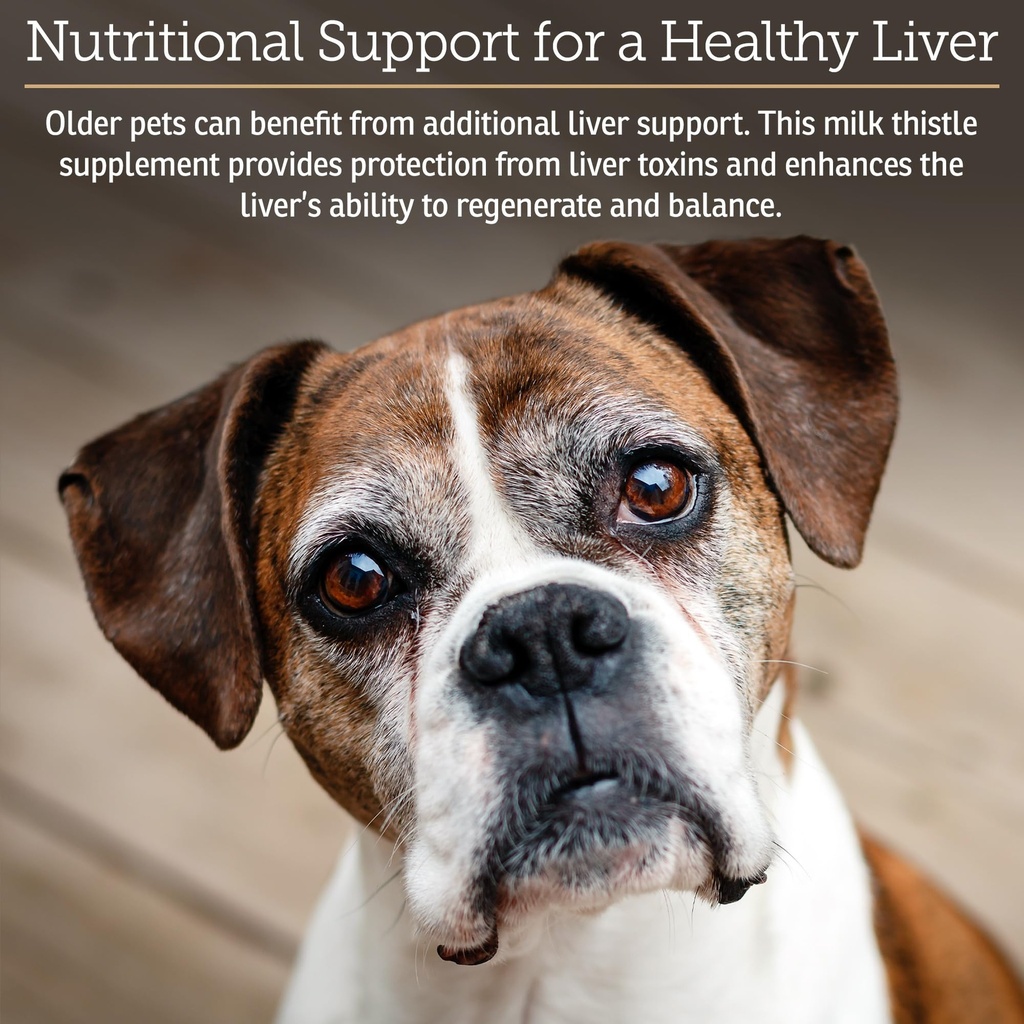 rx-vitamins-hepato-support-for-dogs-cats-3.jpg