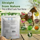 respiratory-lung-support-for-horses-1-lb-3.jpg
