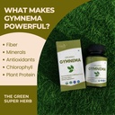 organic-spree-gymnema-120-tablets-gymnem-5.jpg