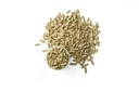 purina-systemiq-probiotic-horse-suppleme-6.jpg