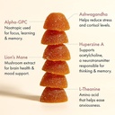 winged-happy-her-mood-rise-up-gummies-bu-5.jpg