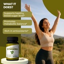 organic-spree-gymnema-120-tablets-gymnem-81QjN8E4-lL.jpg
