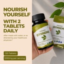 organic-spree-gymnema-120-tablets-gymnem-81Zesf8GKGL.jpg