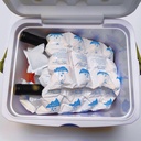 dry-ice-pack-for-shipping-frozen-food-re-81yZXMRrV9L.jpg