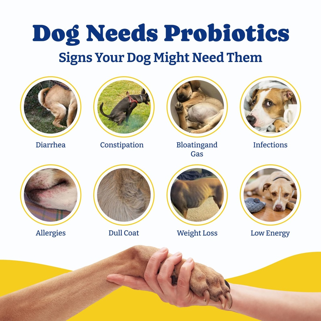probiotics-for-dogs-dog-gut-immune-skin--71KLKeOunvL.jpg
