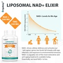 orgabay-liposomal-nad-supplement-500-mg--4.jpg