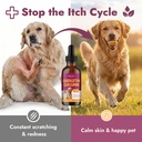 quercetin-natural-antihistamine-for-dogs-71sy5xF2nsL.jpg