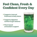 purivibe-chlorophyll-powder-drink-greens-717D7nvtopL.jpg