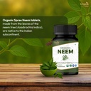 usda-organic-neem-aloe-vera-tablets-120--8189rx4wnWL.jpg