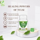 tulsi-capsules-500-mg-120-veg-capsules-h-61tGOeVW80L.jpg