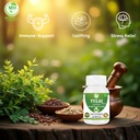 tulsi-capsules-500-mg-120-veg-capsules-h-61eQkdfm0XL.jpg