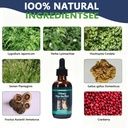 urinary-support-drops-for-dogs-cats-liqu-81BeZ902TOL.jpg