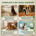 dog-probiotics-2b-cfu-6-strain-for-gut-h-81Rek9fHa1L.jpg