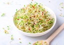 food-to-live-organic-alfalfa-sprouting-s-71jIYawqmfL.jpg