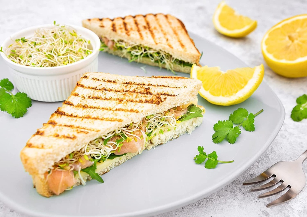 food-to-live-organic-alfalfa-sprouting-s-71n4JtT3deL.jpg