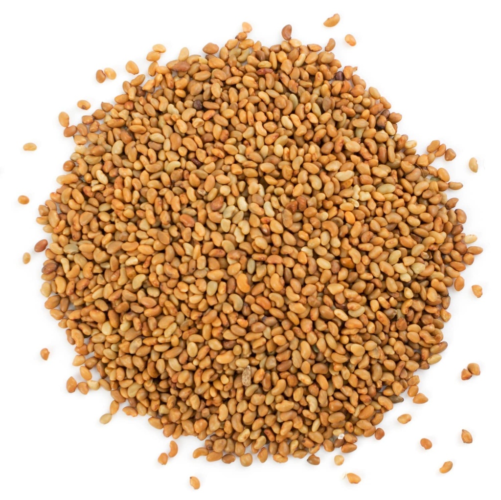 food-to-live-organic-alfalfa-sprouting-s-71zPGtiIWqL.jpg