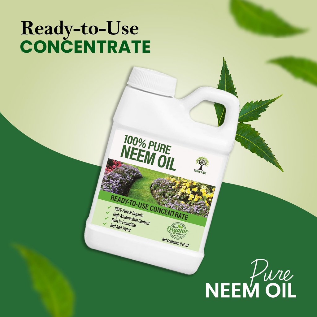 nature-s-will-pure-ready-to-use-neem-oil-710yAz-4GPL.jpg