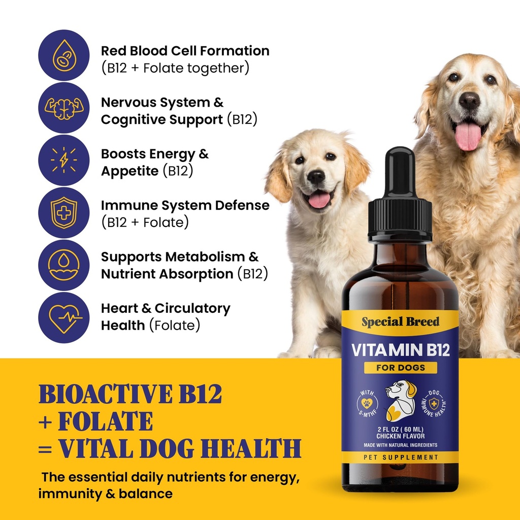 special-breed-liquid-vitamin-b12-for-dog-81E4HKI7h9L.jpg