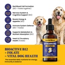 special-breed-liquid-vitamin-b12-for-dog-81E4HKI7h9L.jpg