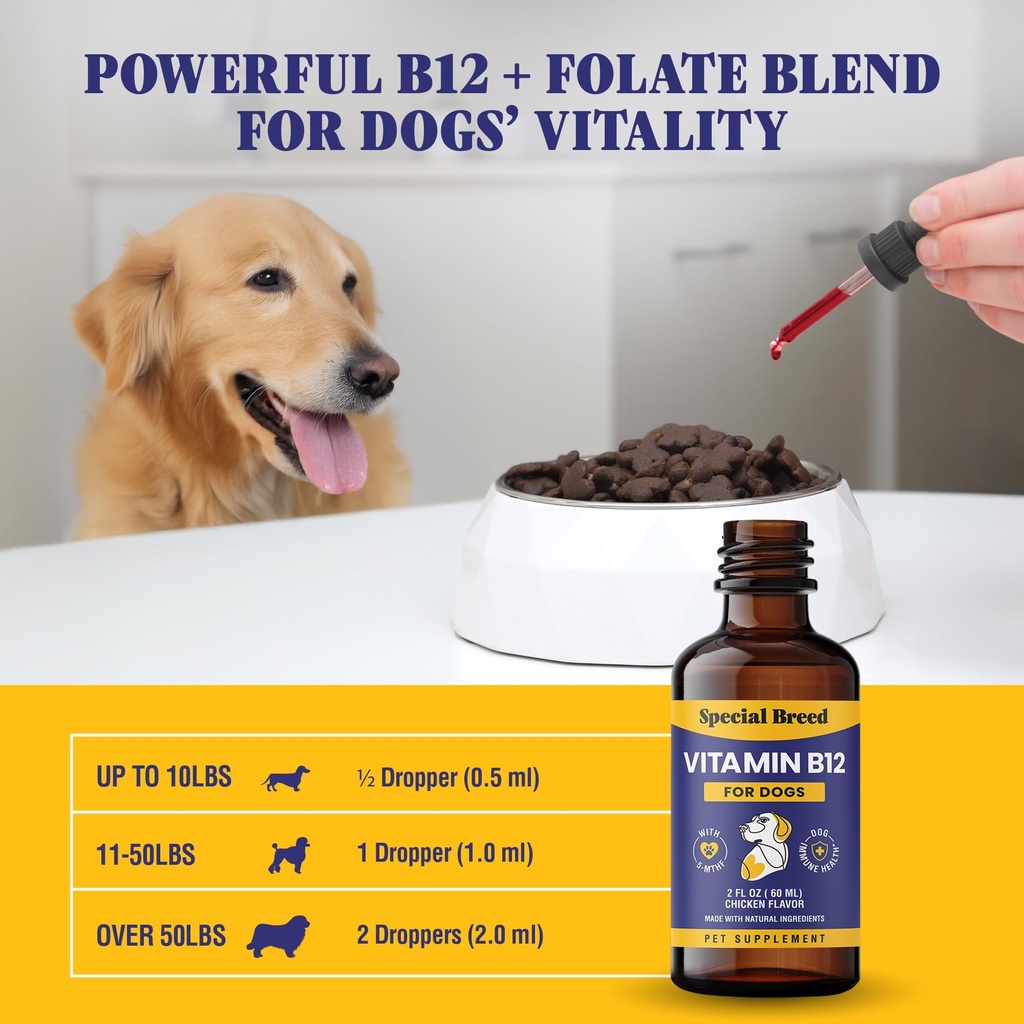 special-breed-liquid-vitamin-b12-for-dog-71-ON4dONpL.jpg