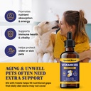 special-breed-liquid-vitamin-b12-for-dog-81D7lg4PKOL.jpg