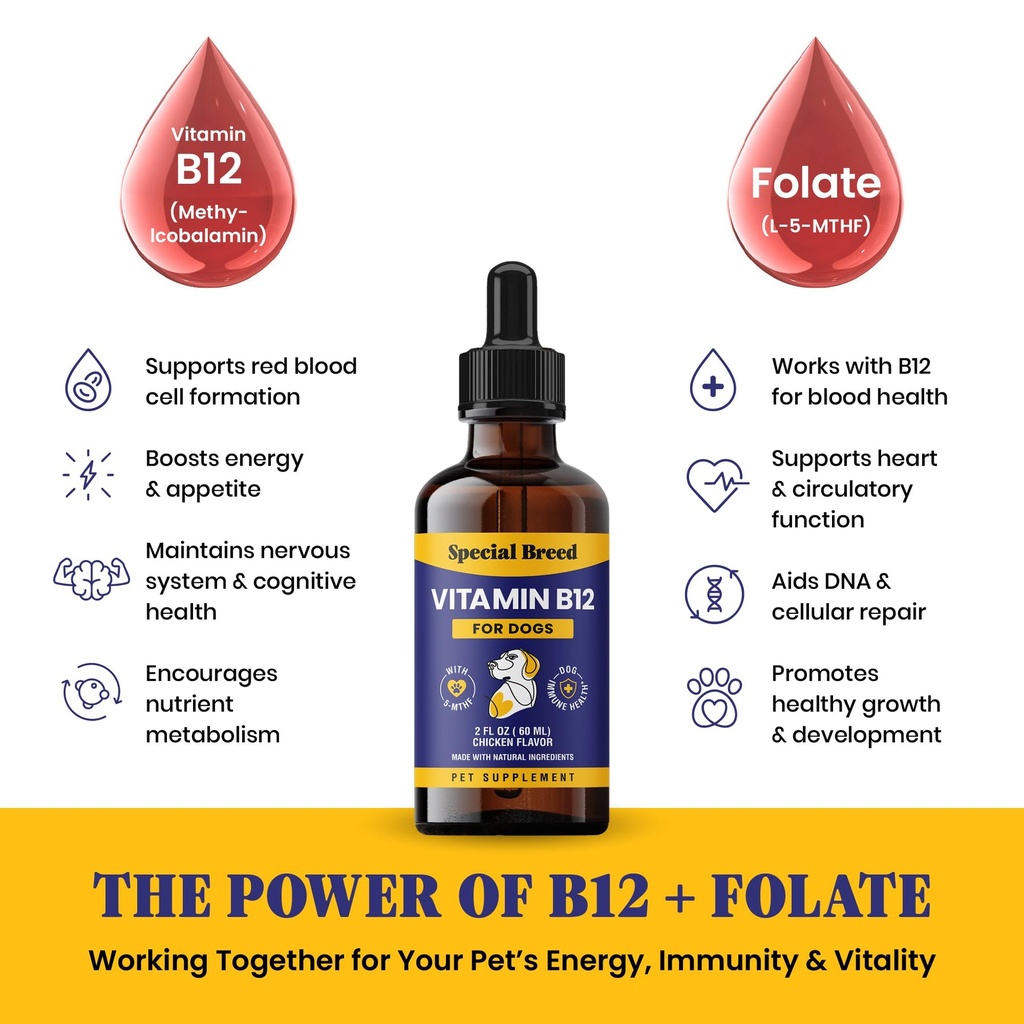 special-breed-liquid-vitamin-b12-for-dog-71Q80OTaCEL.jpg